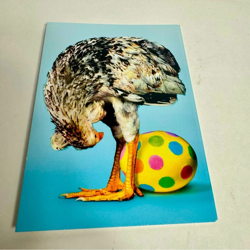 4 Avanti Greeting cards - chicken laying an Easter egg Holiday: Easter